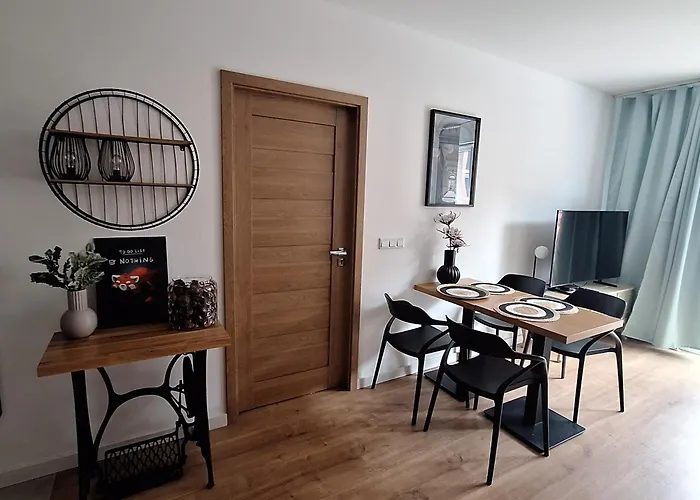 Fuzja House 公寓 罗兹